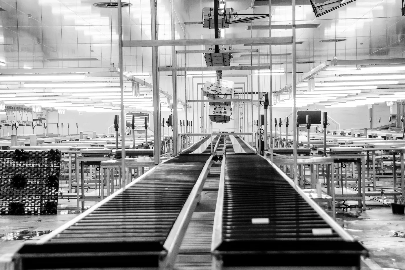Industrial production line inside a factory